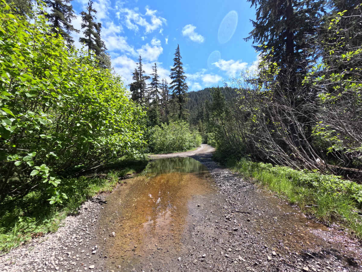 Barlow Butte Road - FS 3560 photo 4