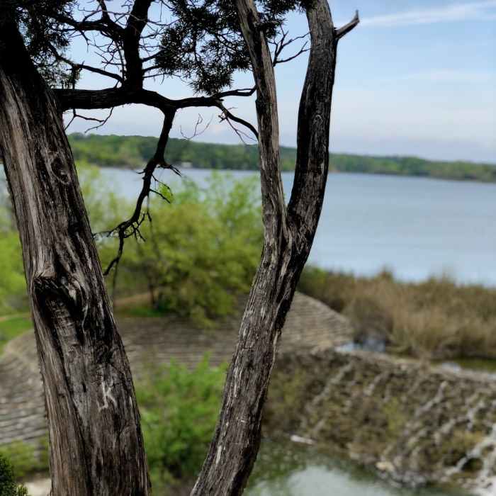 Overlooking the lake Near Spillway Hiking Trail