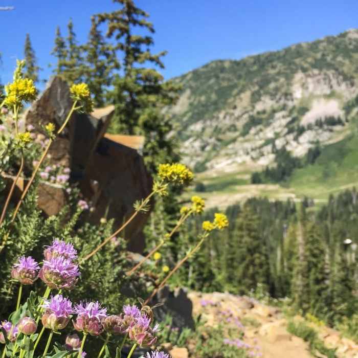 Near Devil's Castle/Sugarloaf via Cecret Lake