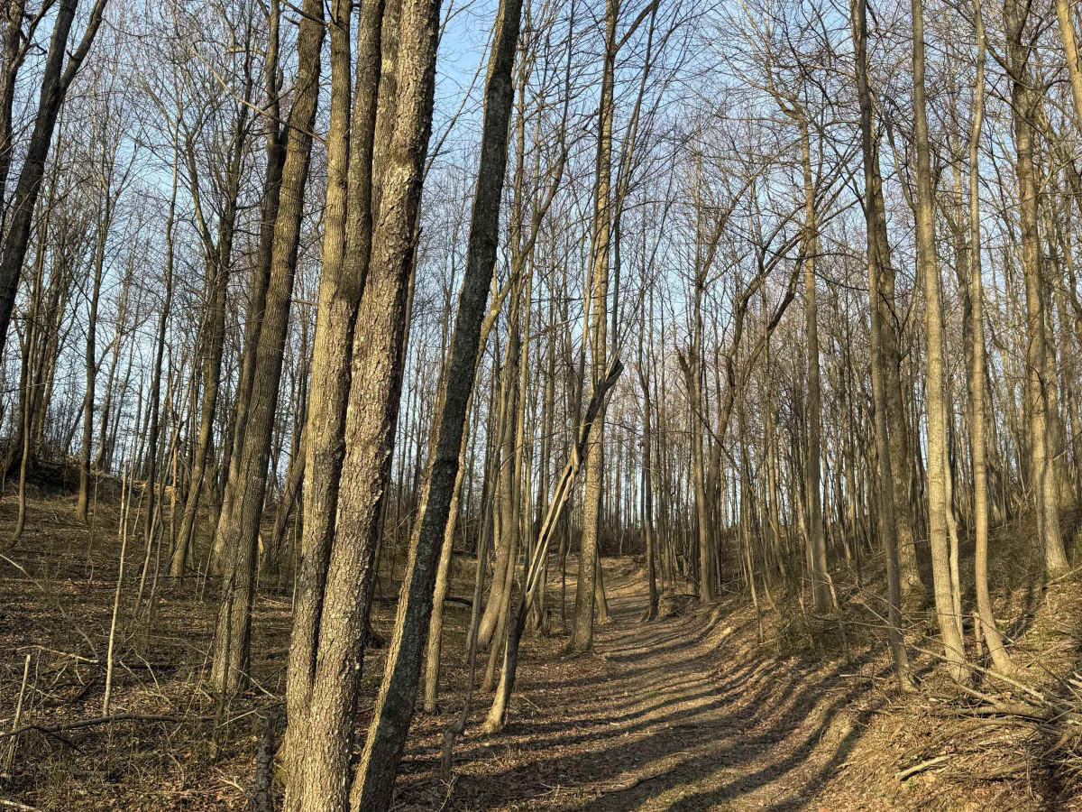 Q32 trail photo