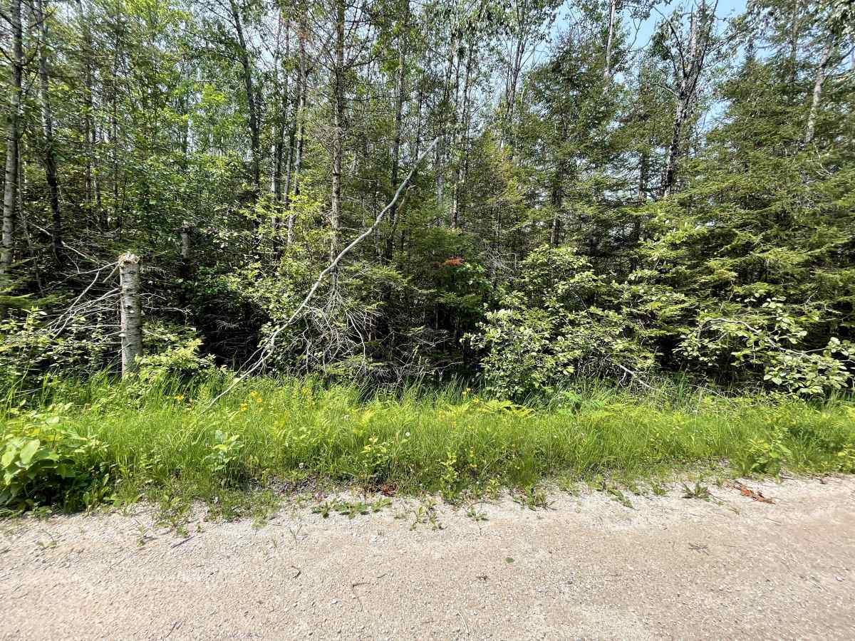 Route 3104 photo 2