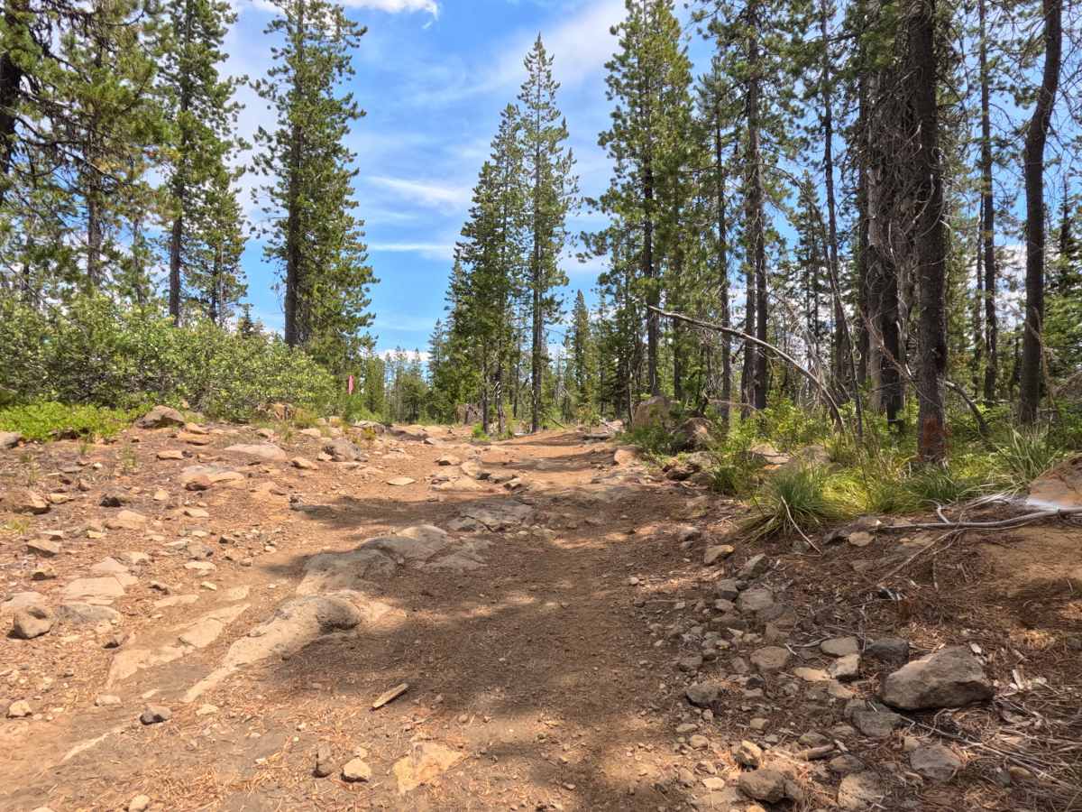 FS 2690-920 Northern Segment trail photo