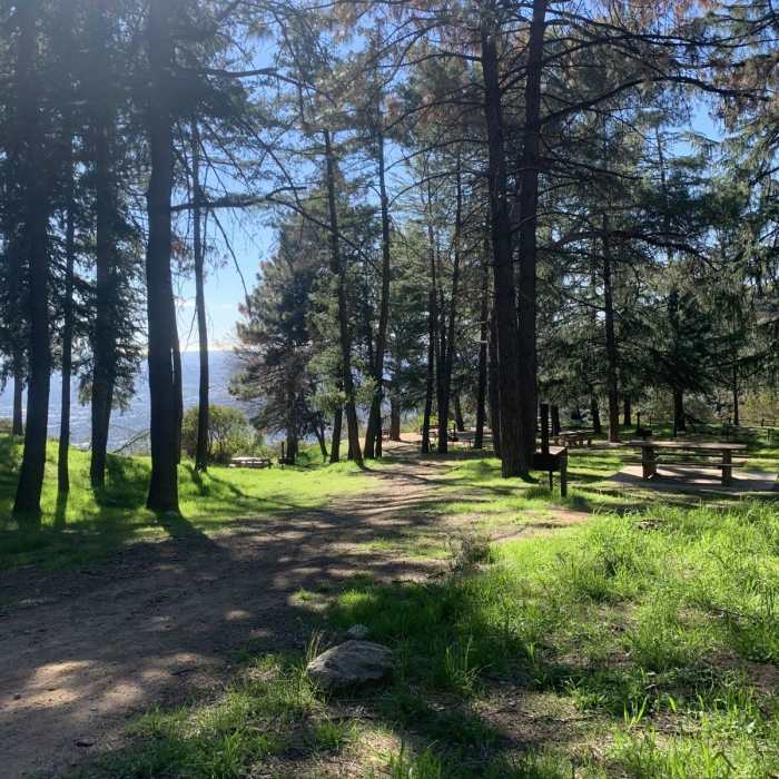 Near Mount Wilson Toll Road