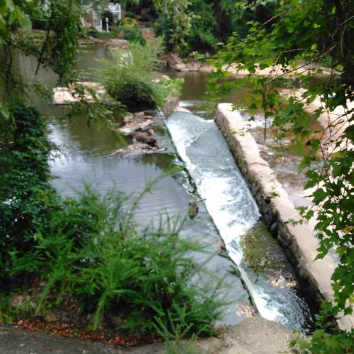 Near Crabtree Creek Trail