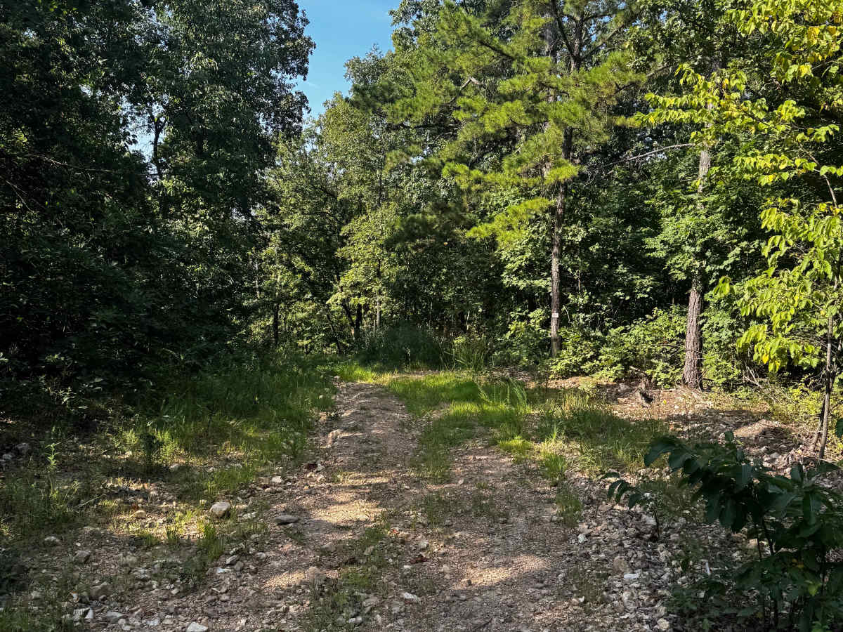 Short Track Loop 4 trail photo