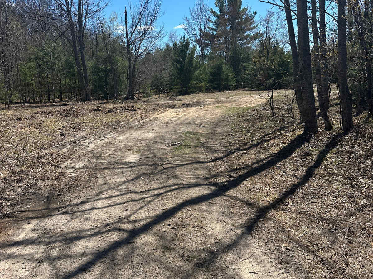 Storm Loop trail photo