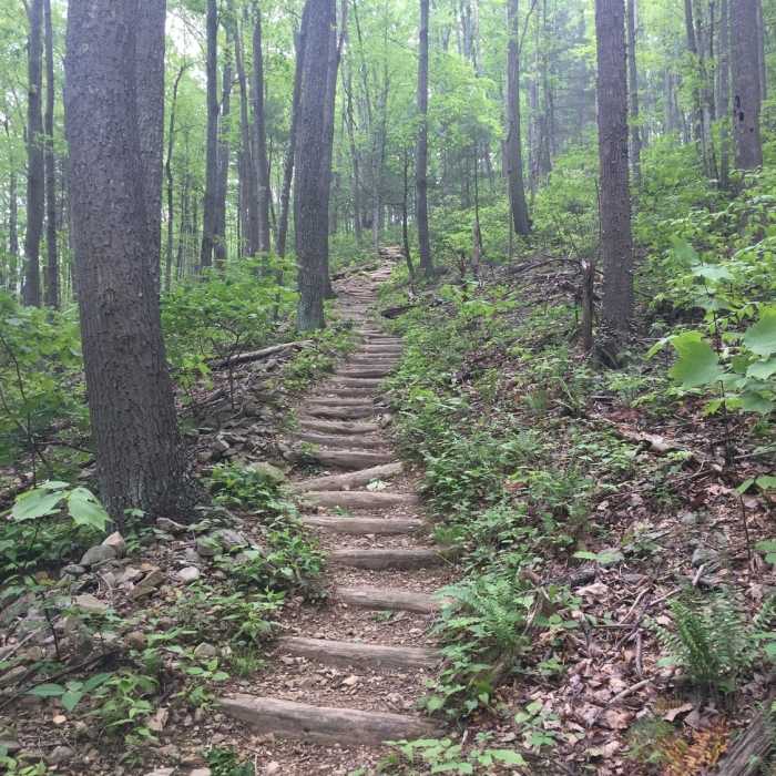 Near Buck Hollow Trail