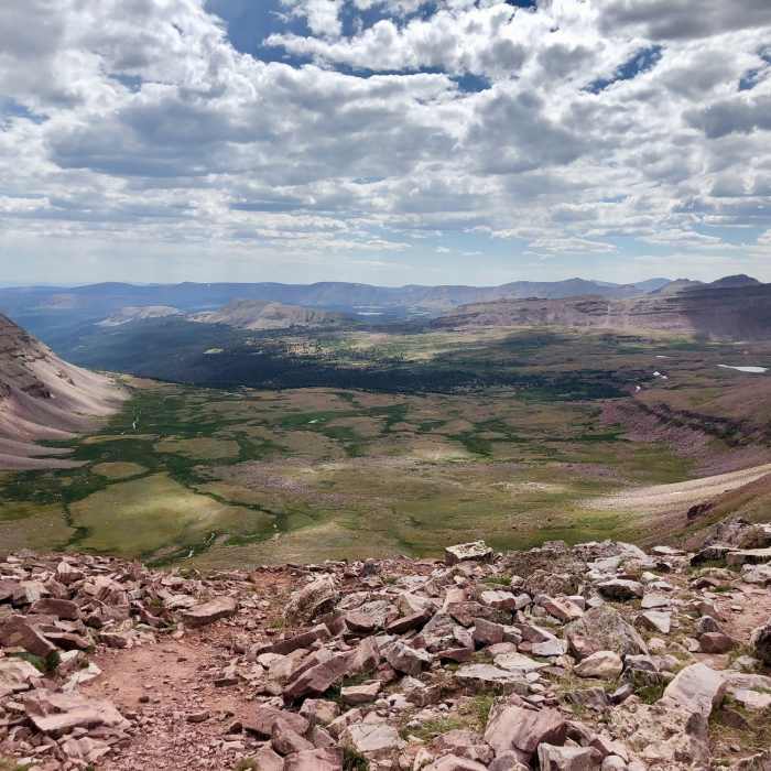 Near Uinta Highline Trail