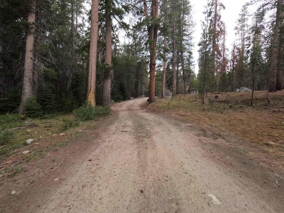 Stump Springs Road - FS 7S005 photo 4