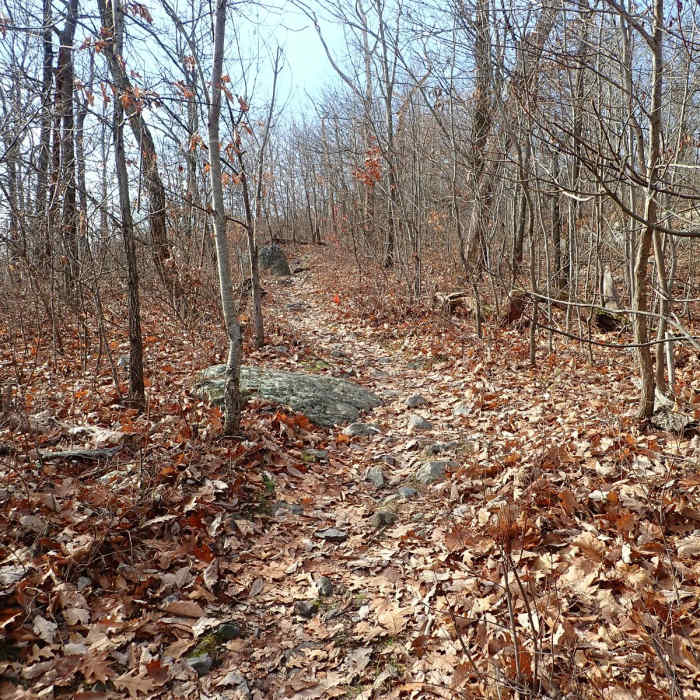 Near Appalachian Trail - Worthington State Forest Near Appalachian Trail - Worthington State Forest