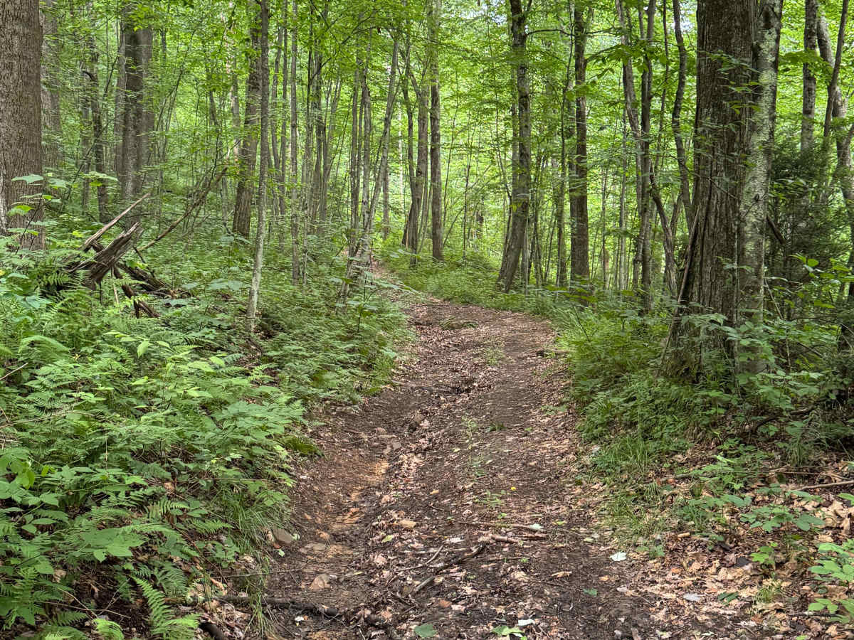 Trail 33 photo 3