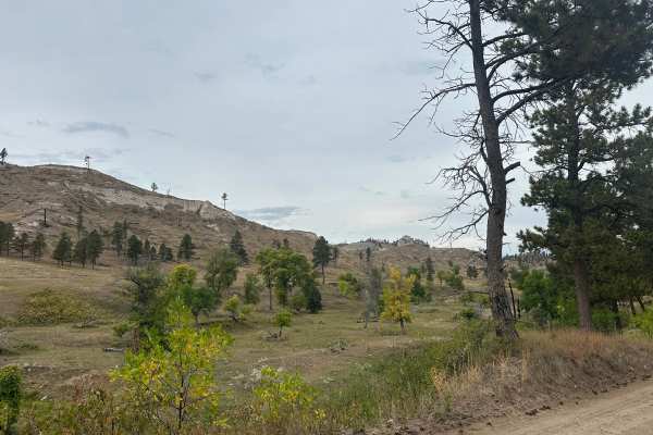 West Hat Creek Road