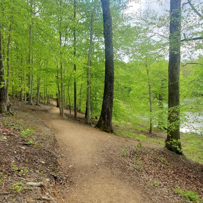 Near CoOp Out & Back w/ Trooper Tribute Loop