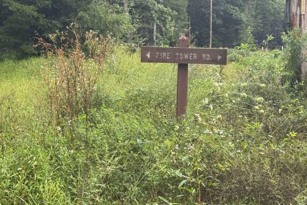 Fire Tower Road