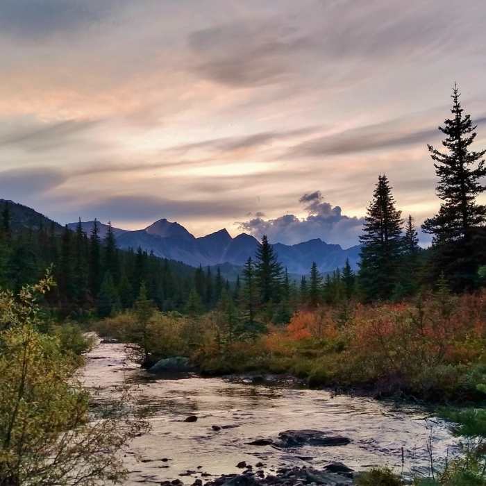 Sunset from Poligne Creek at Avalanche trail camp. Near Maligne Pass Trail