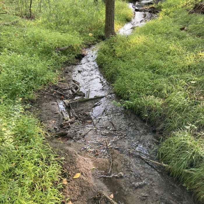 Near Hiking Club Trail at Big Stone Lake State Park Near Hiking Club Trail at Big Stone Lake State Park