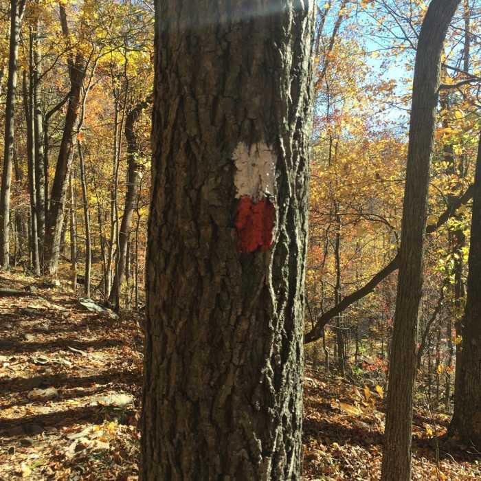 Near Cat Rock Trail