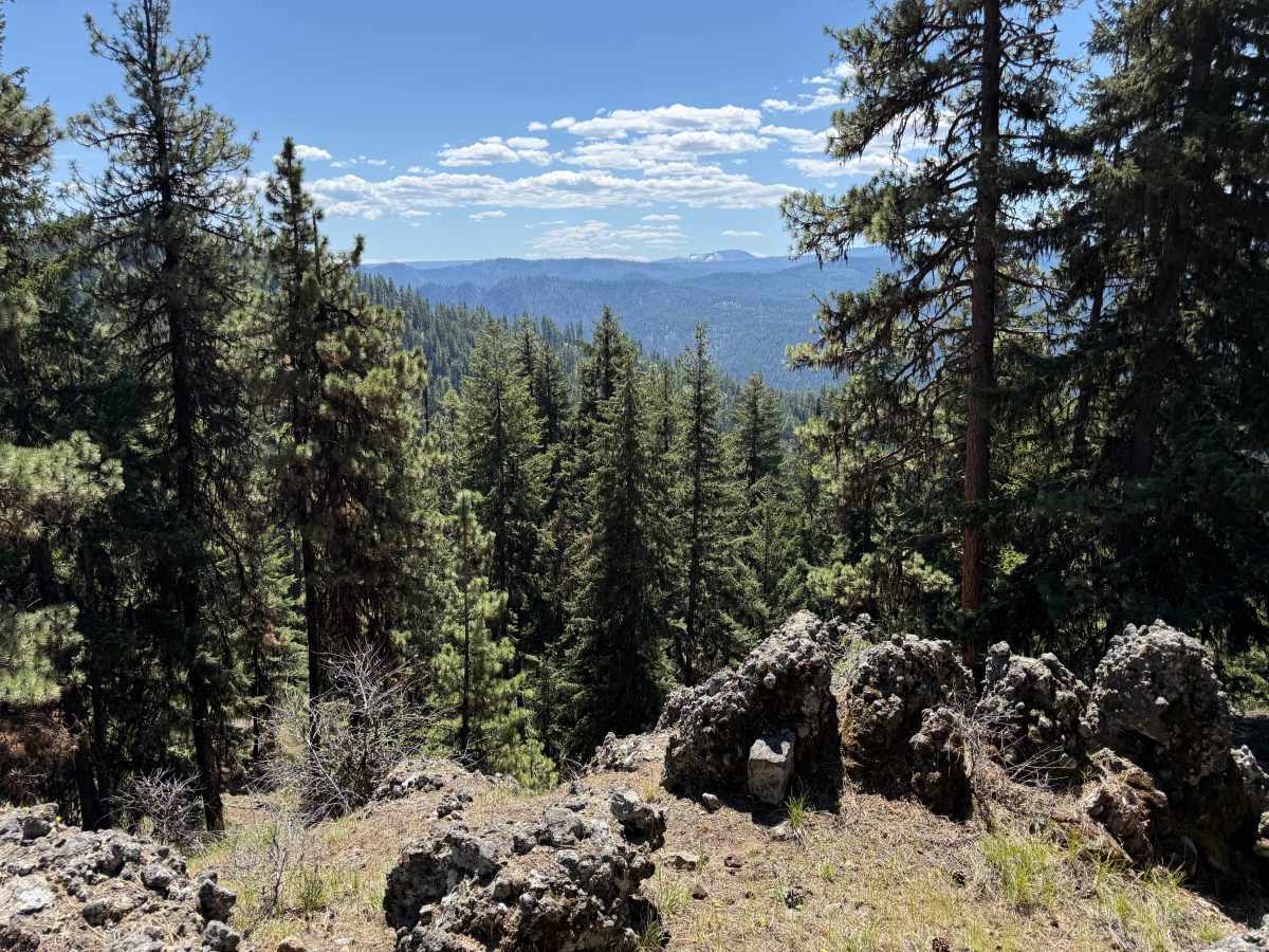 Pine Tar trail photo