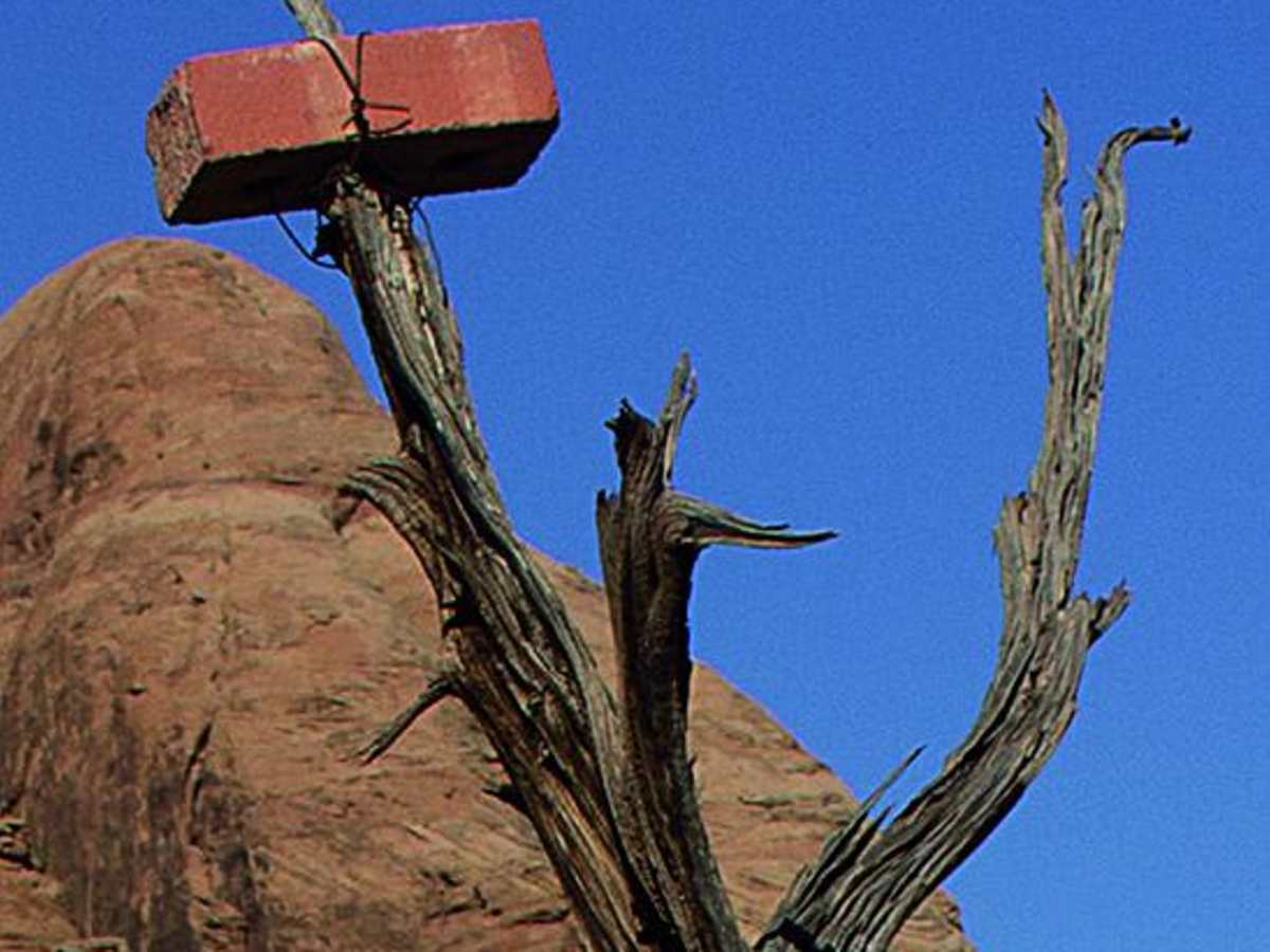 Pritchett Canyon photo 5