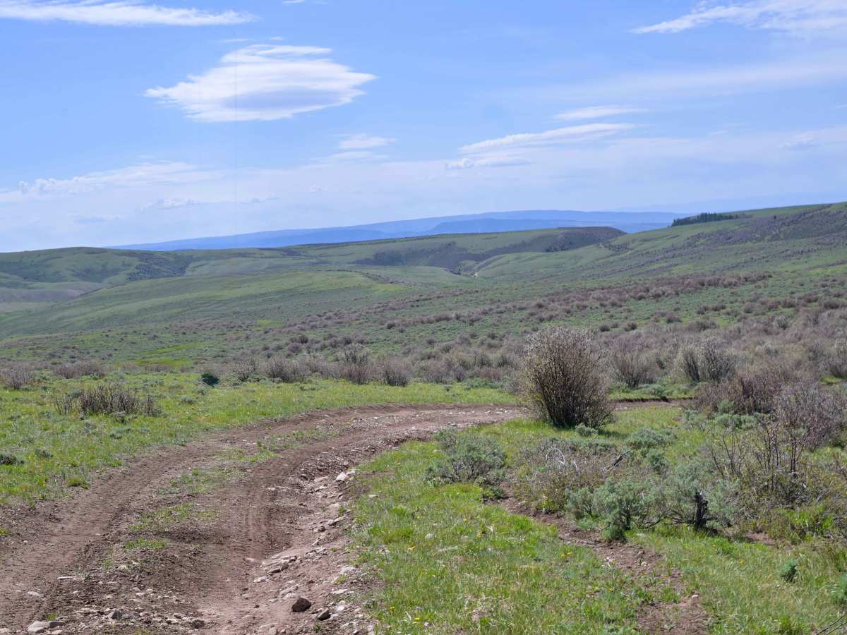 Bassett Creek - FS 10579 photo 2