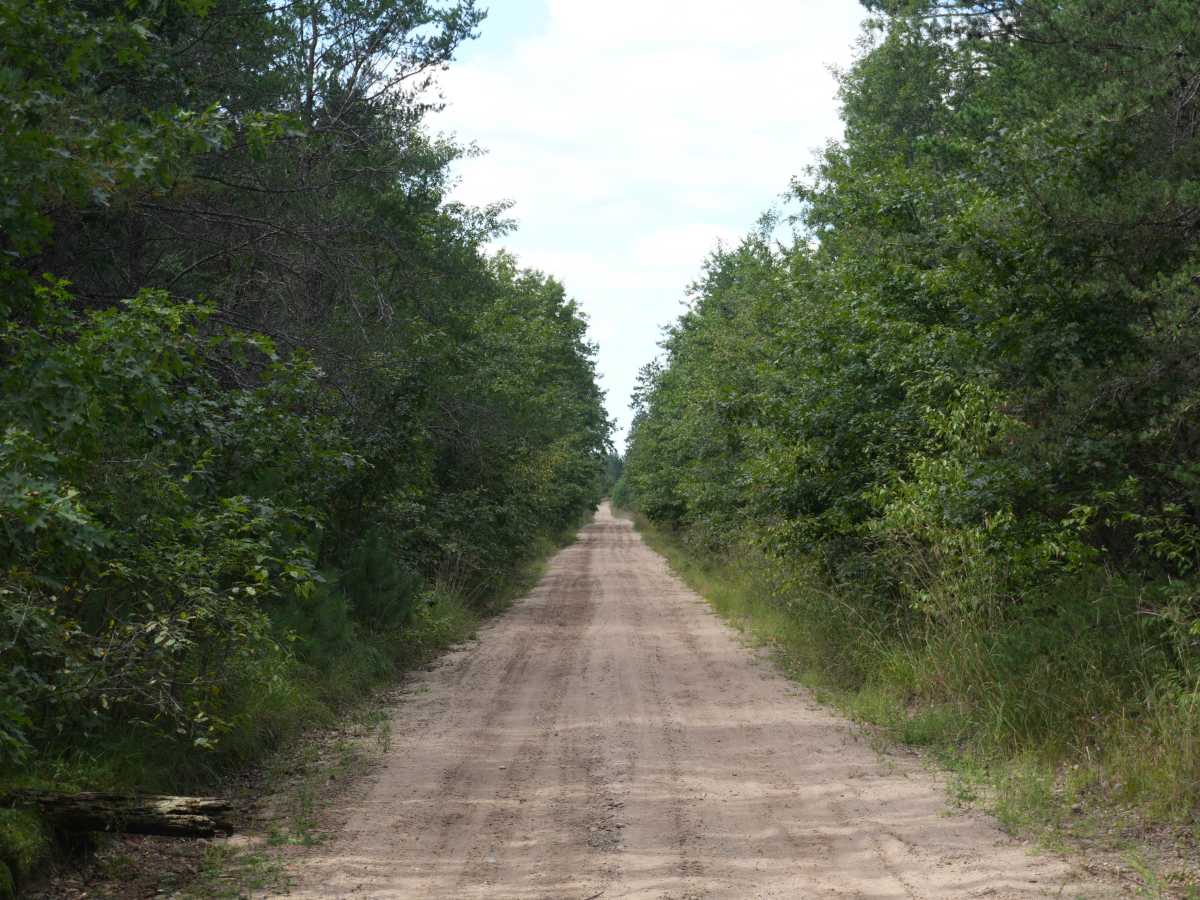 Emery Road photo 6