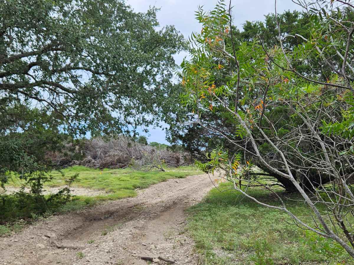 Saddle Spur photo 4
