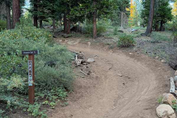 Beaver Tail Trail (Upper)