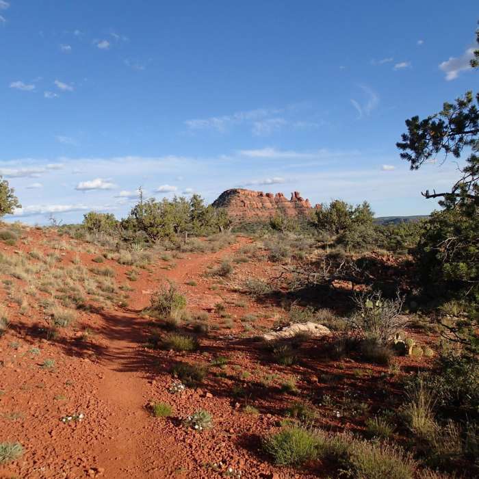 Near Ground Control to Major Tom