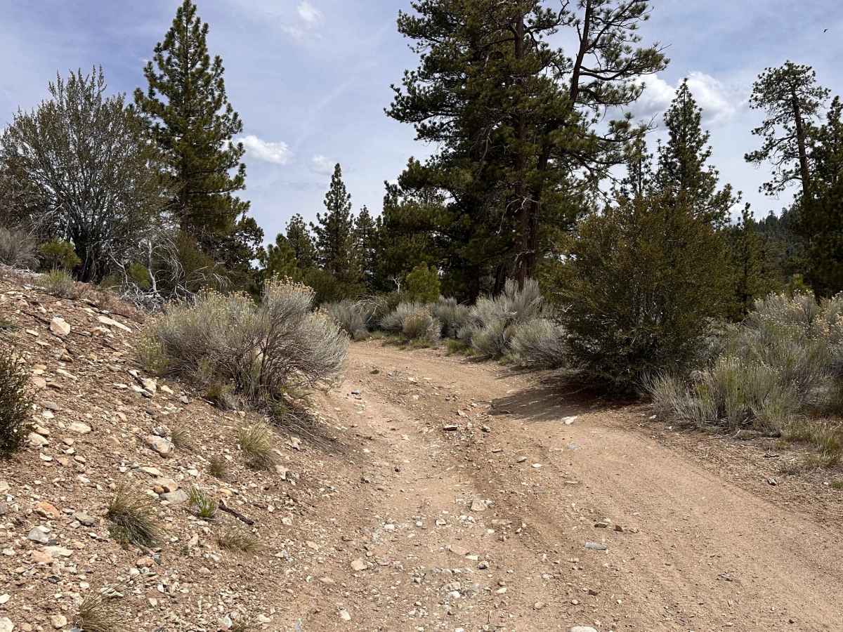 Upper Holcomb PCT photo 3