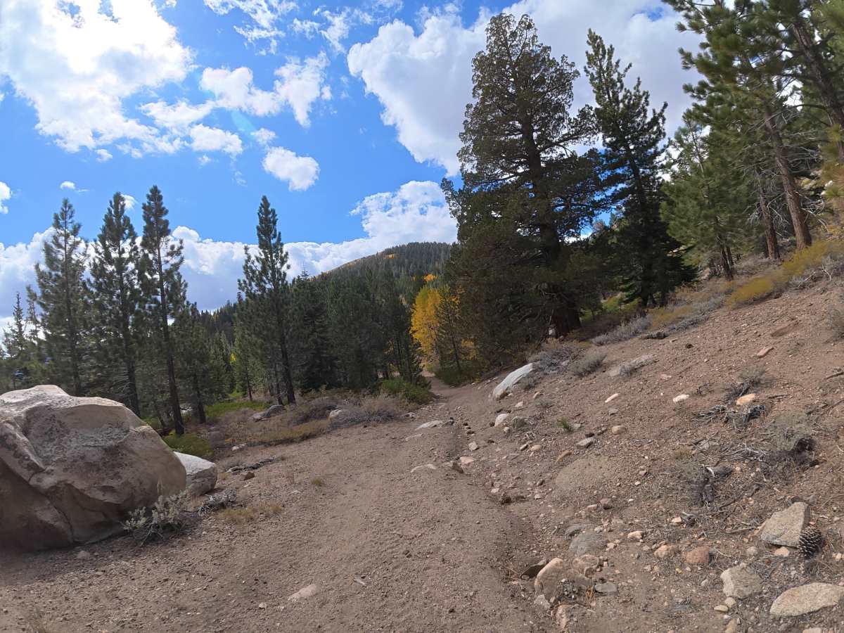 Creek Road Spur F photo 2