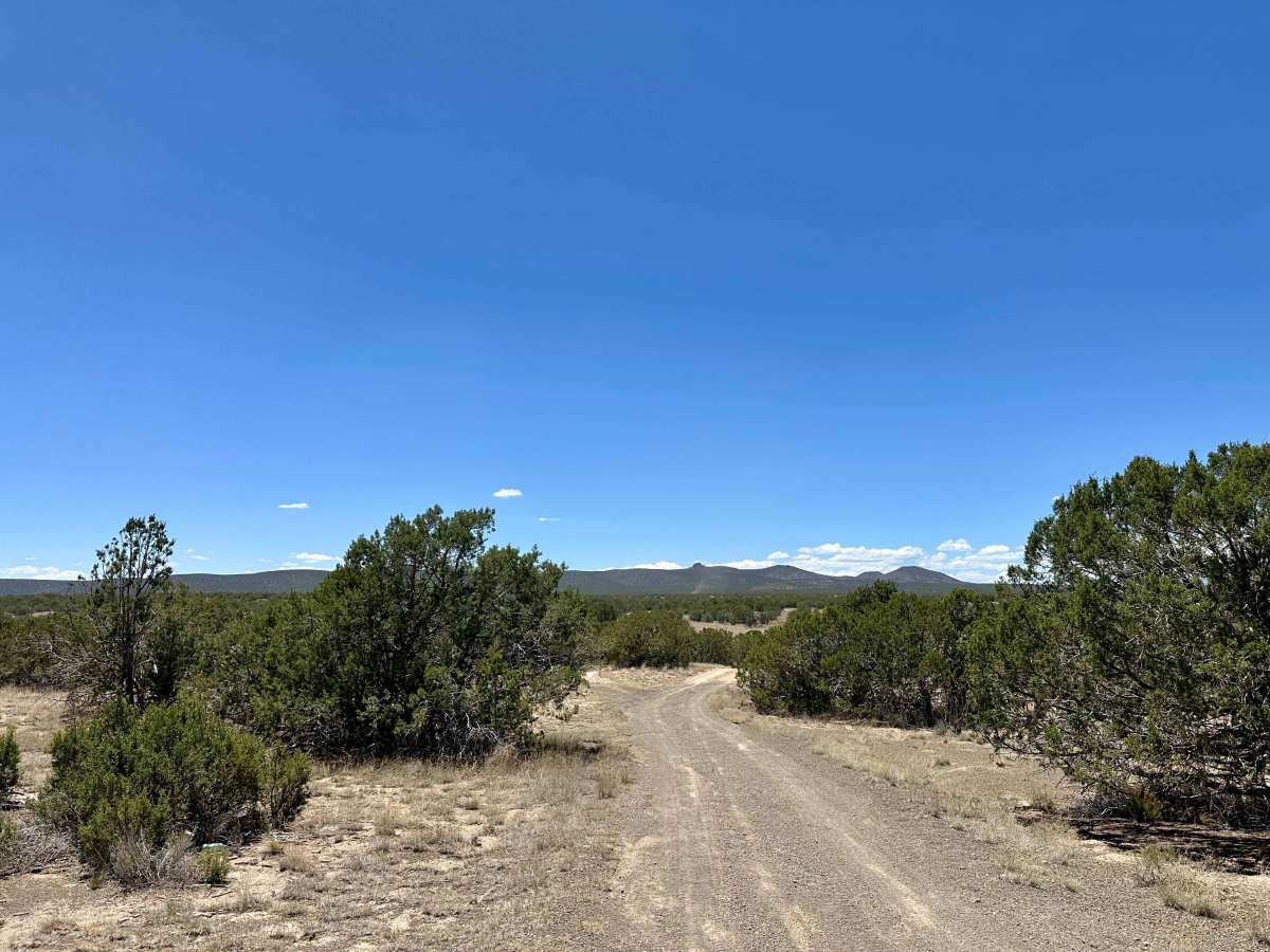 Dispersed Camping Loop photo 2