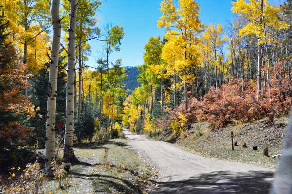 Discover Off-road Trails in Tesuque, New Mexico: Beginners to