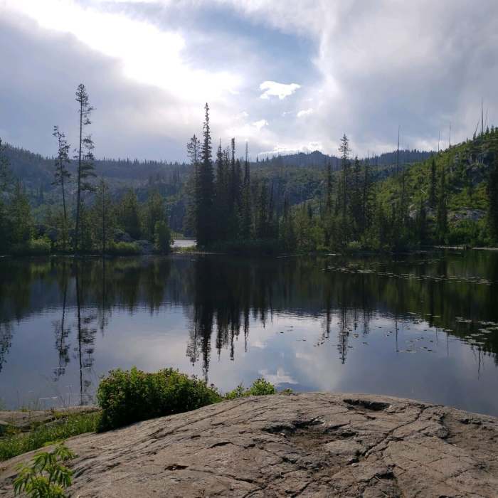 Near Crestline Trail (#109)