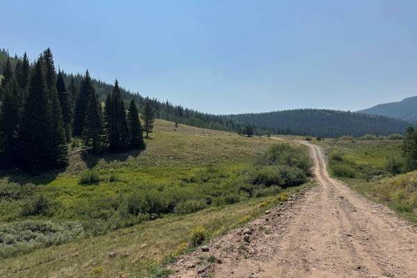 Gardner Park Road - FS 910