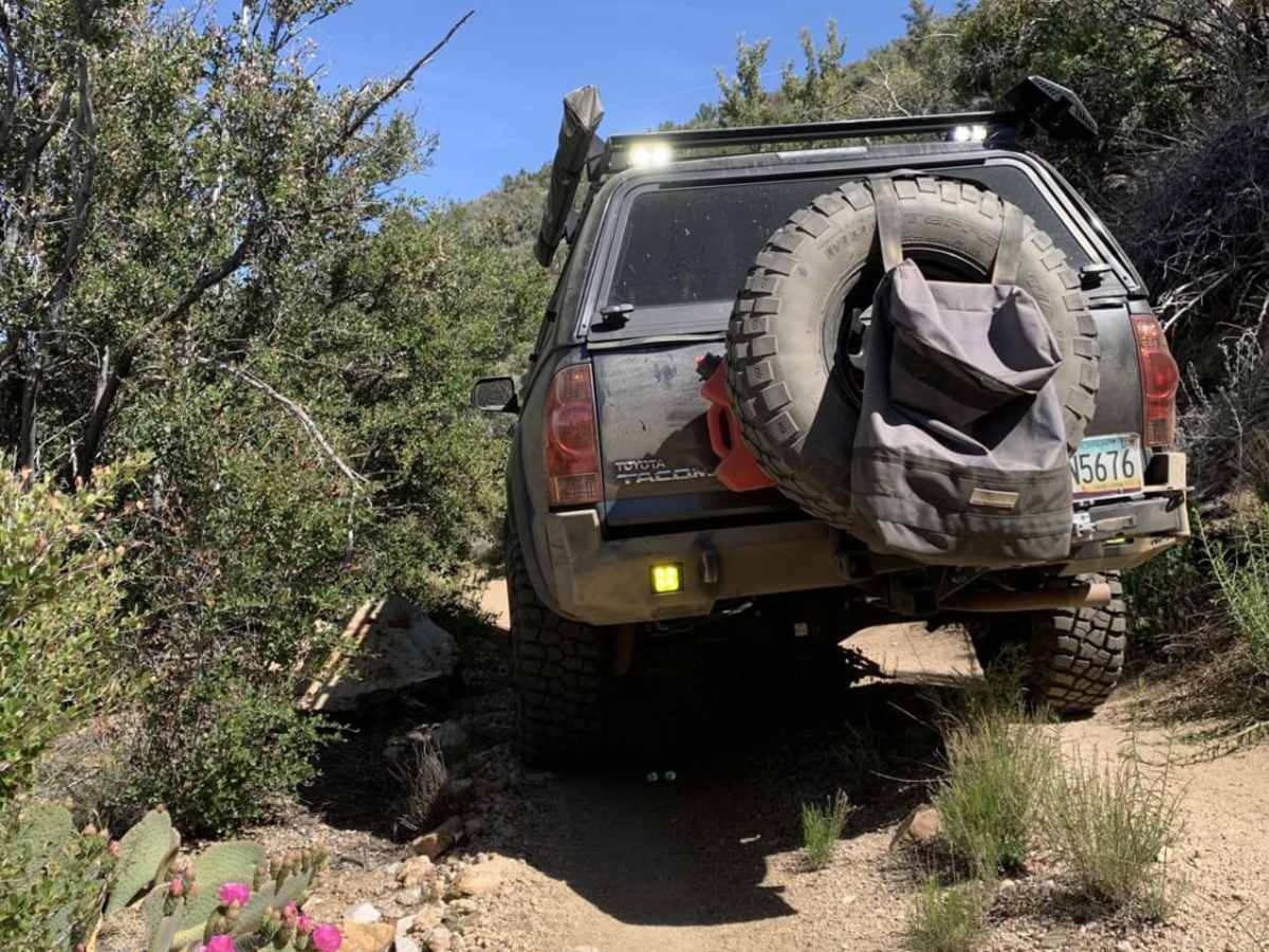 Brutal run to wickiup trail photo