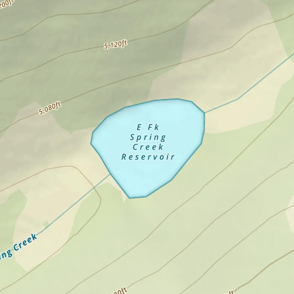 E Fk Spring Creek Reservoir photo