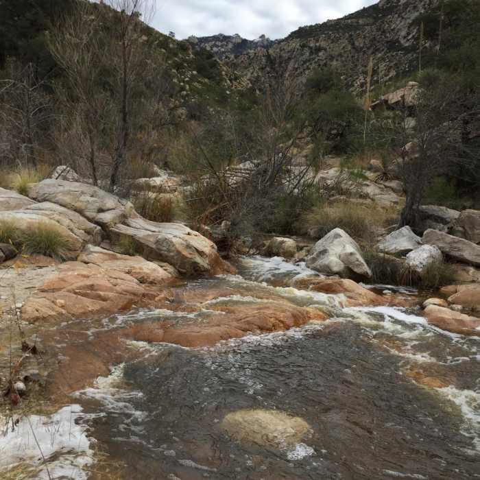 Near Romero Canyon Trail