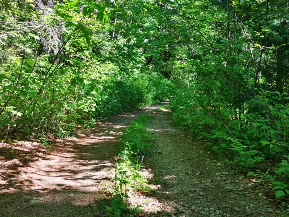 Mystery Creek Road photo 4