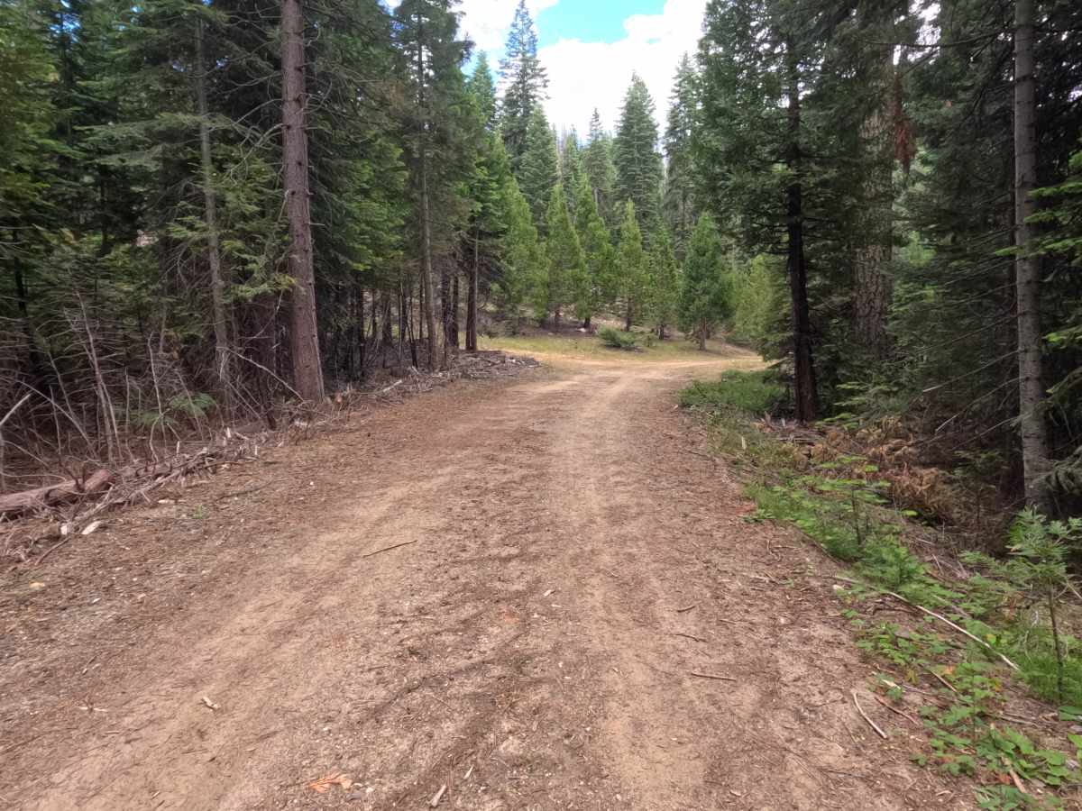 East Driscoll Spur - FS 12N40A photo 6