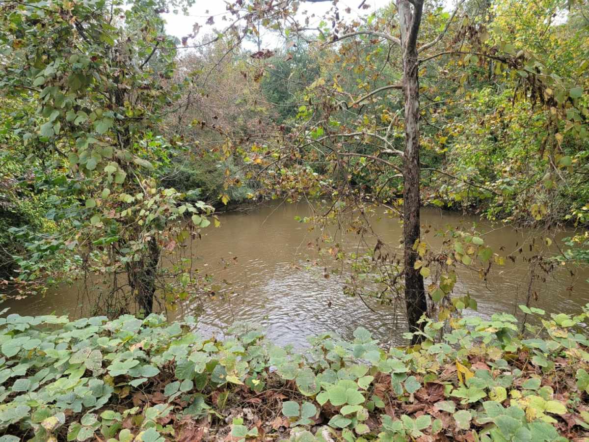 Turner Trail photo 3