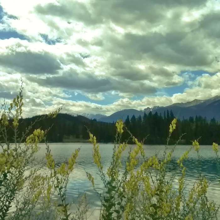 Near Lac Beauvert Loop
