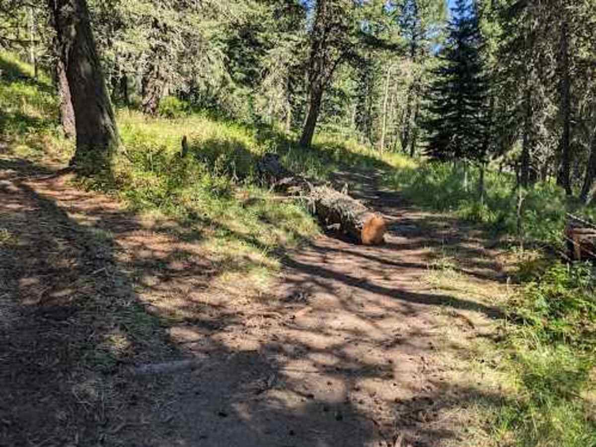Porcupine Hills Trail 30-33 photo 2