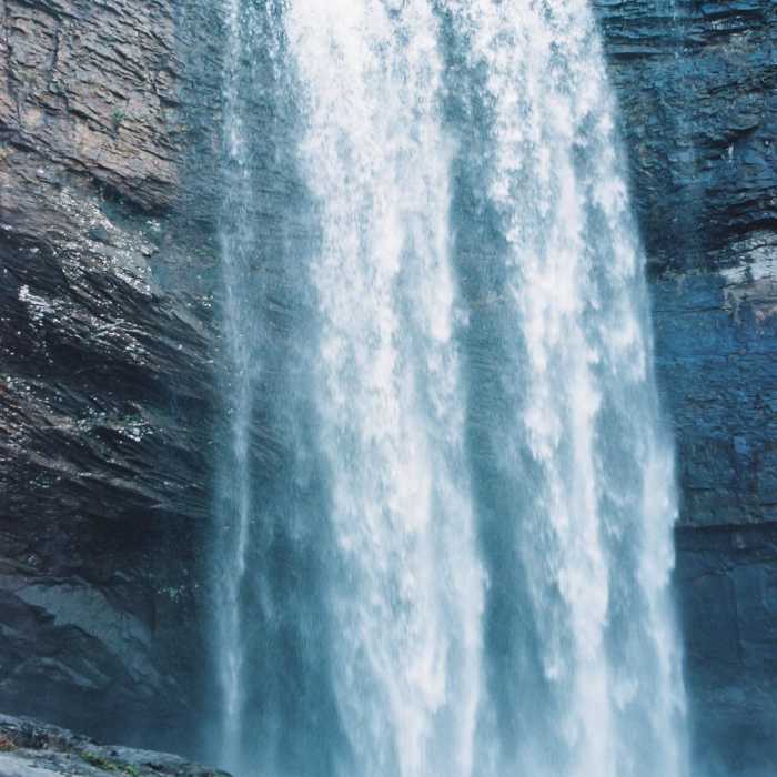 Near Lula Lake Land Trust: Middle Trail Near Lula Lake Land Trust: Middle Trail