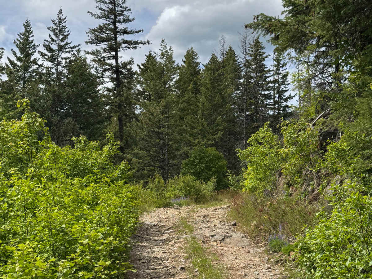 Sullivan Mountain Trail photo 5