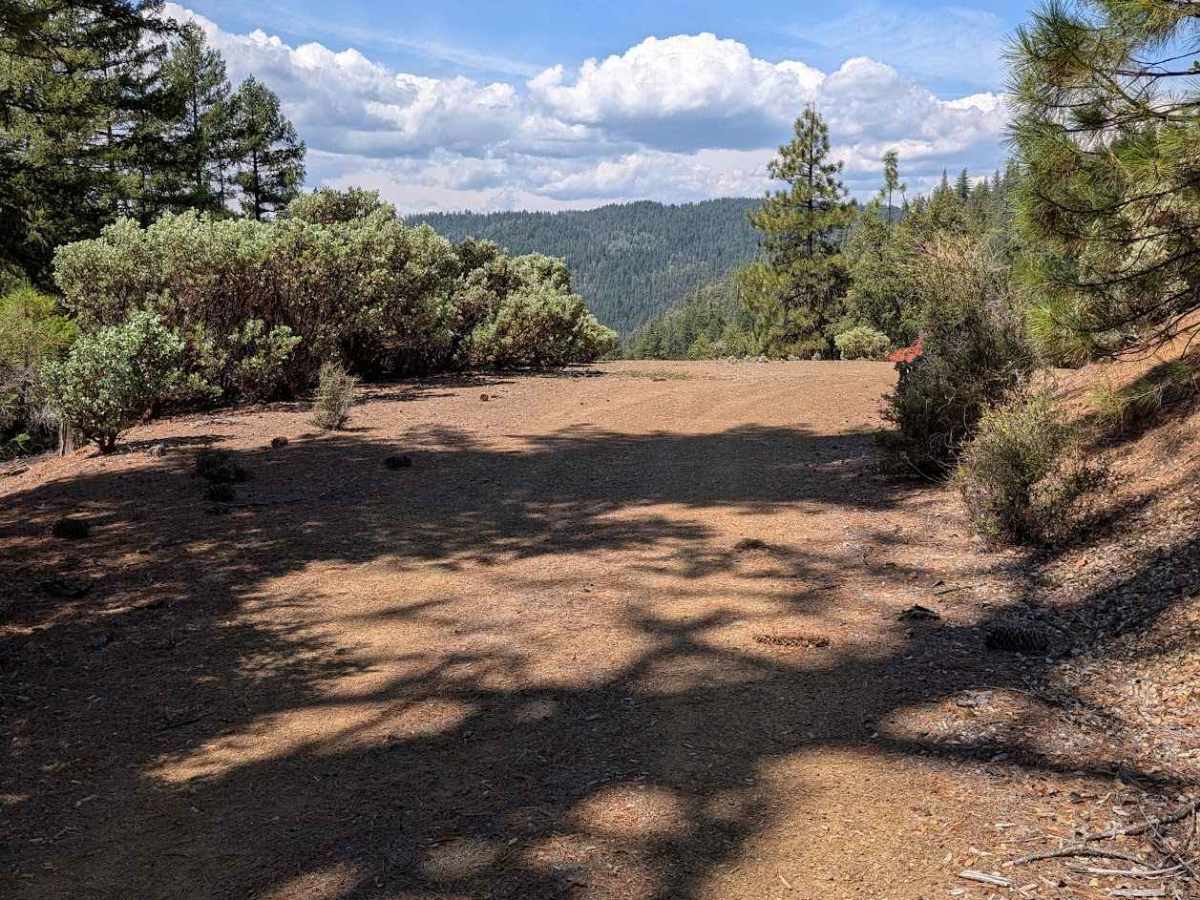 Blue Gulch Road - FS 30N25 trail photo