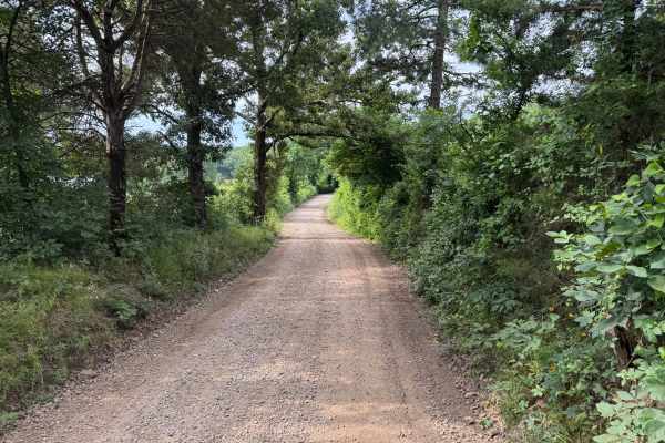 North Web Road