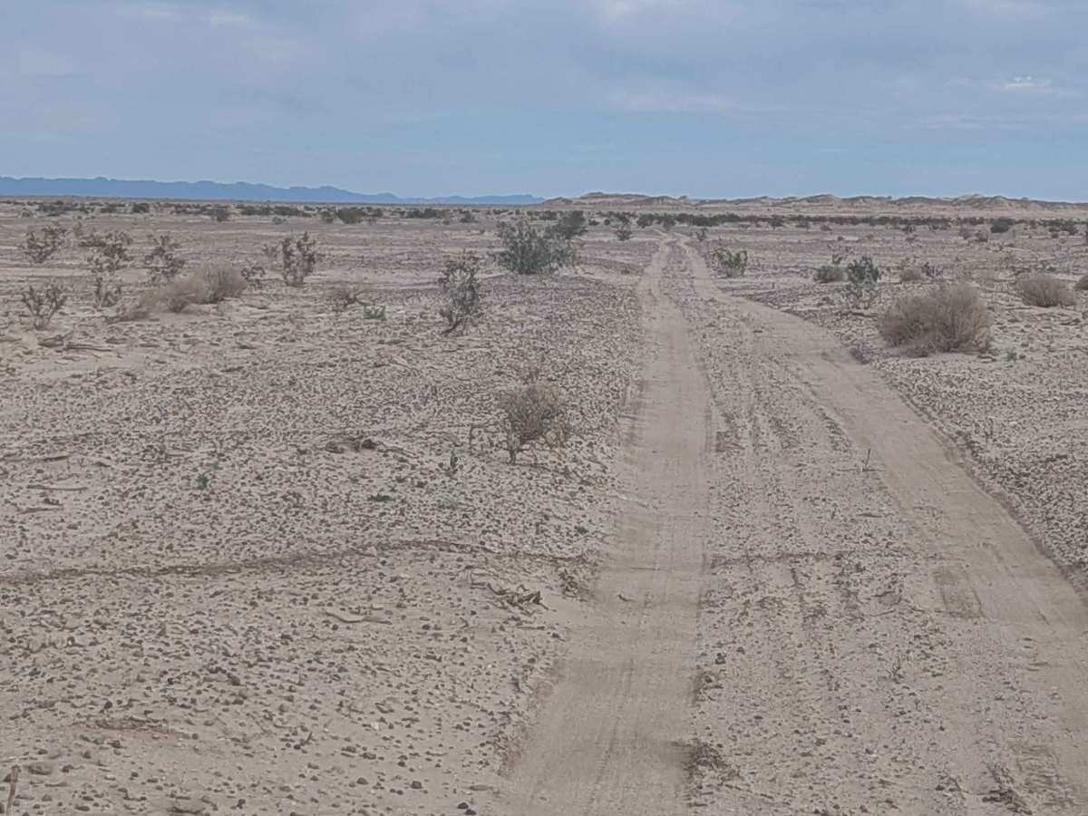 BLM 176 photo 5