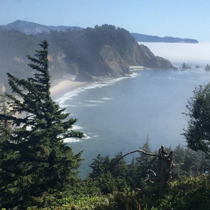 Near Octopus Trail