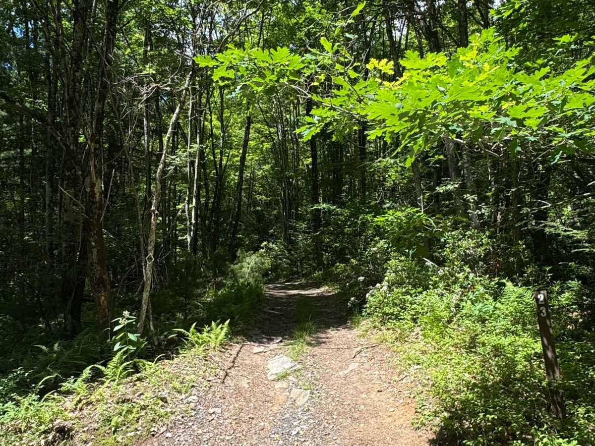 Furnace Trail photo 2