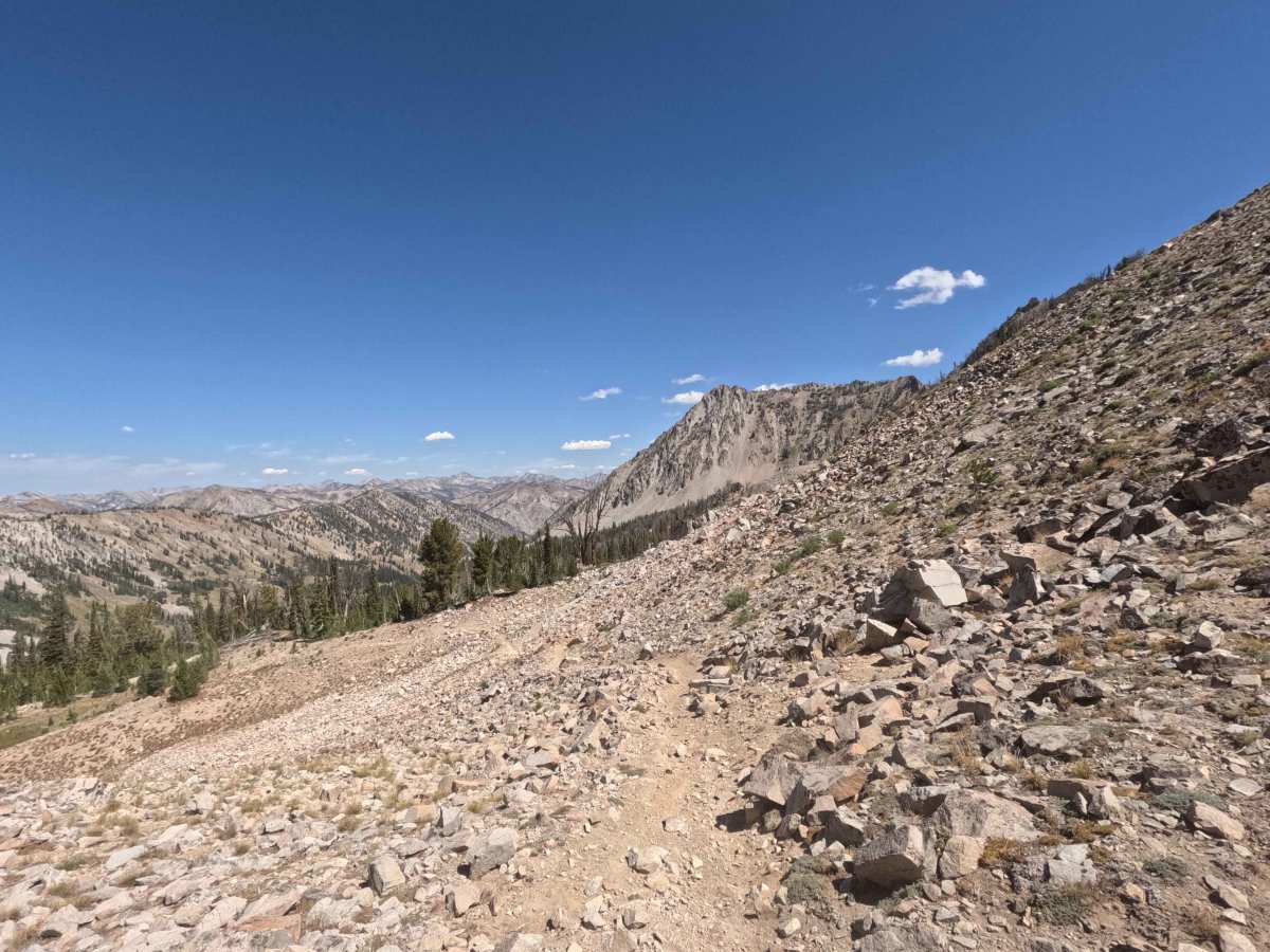 Bass Creek - FS 7061 photo 5